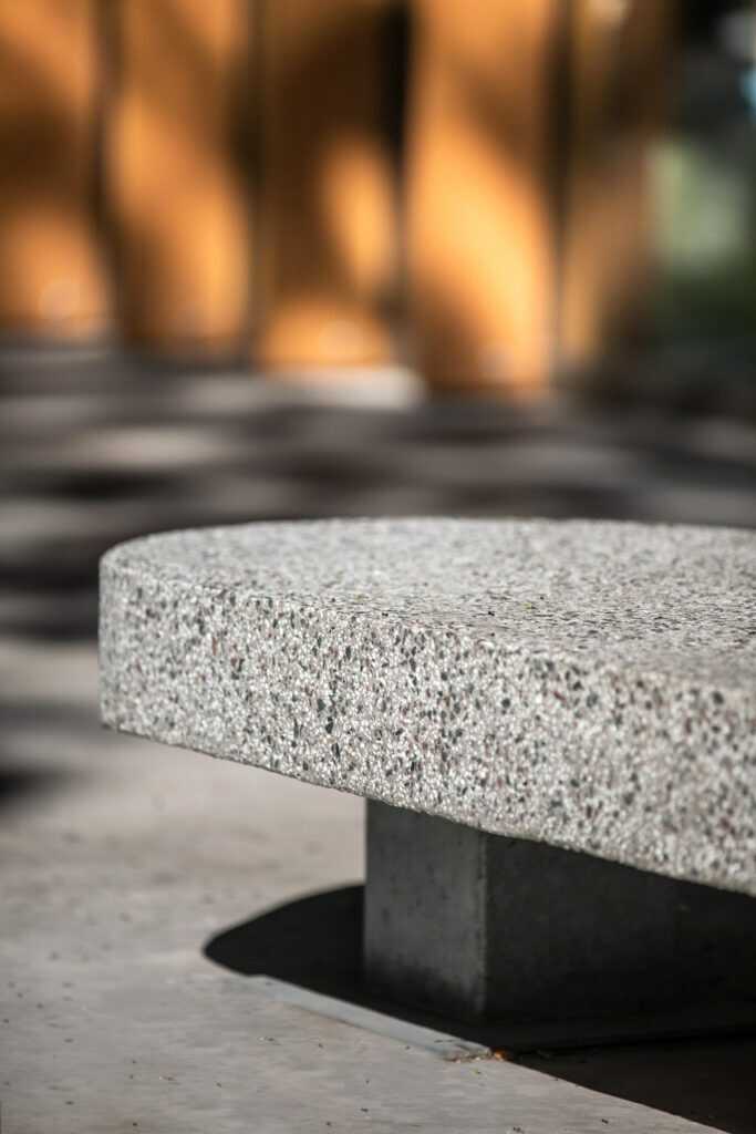 009baja-683x1024_optimized