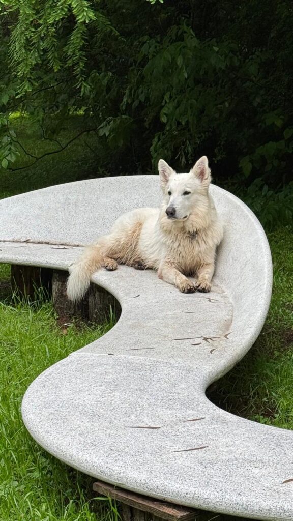 WhatsApp Image 2024-10-13 at 4.47.04 PM (1)