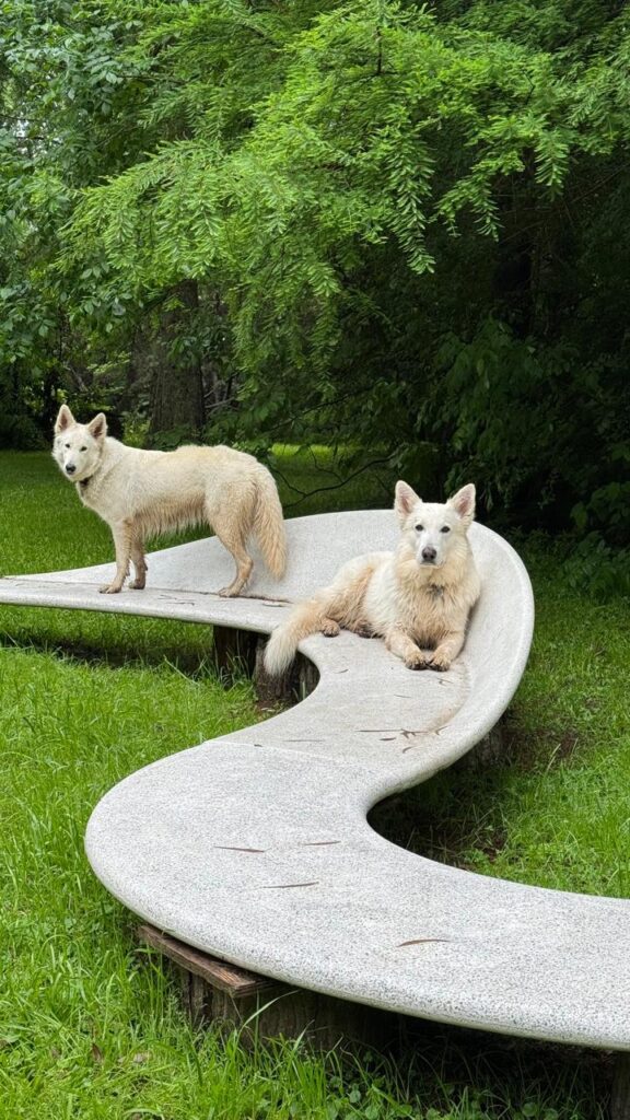 WhatsApp Image 2024-10-13 at 4.47.04 PM