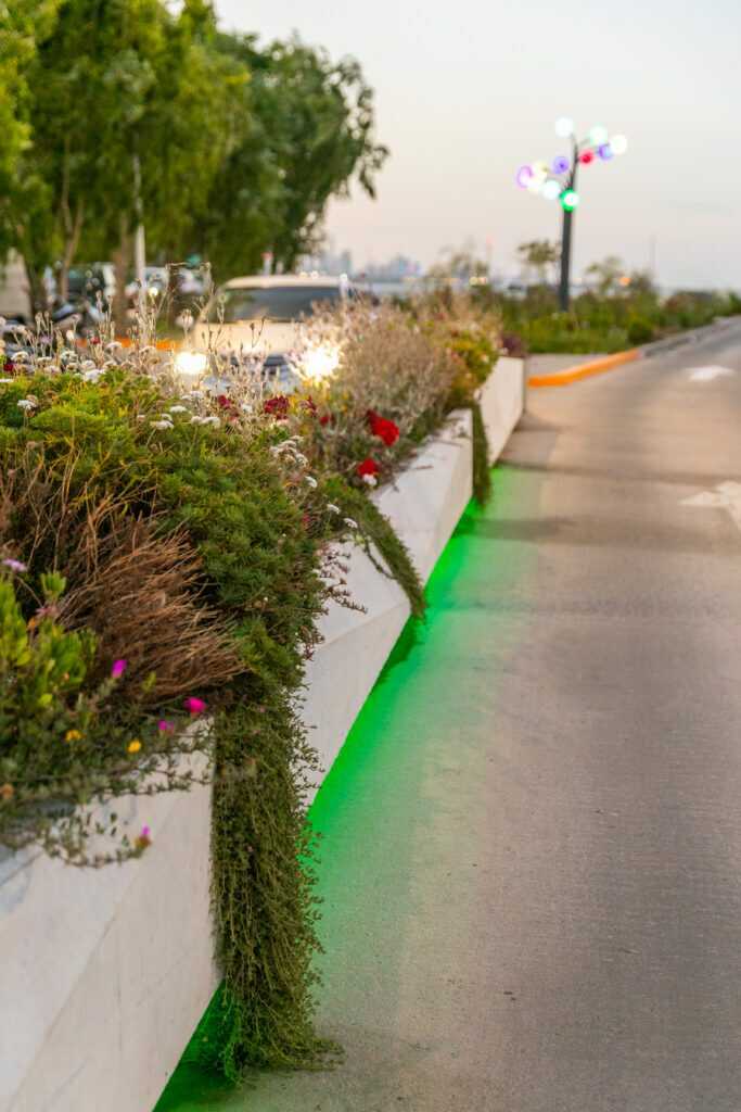 alta_costa-avellaneda23-683x1024_optimized