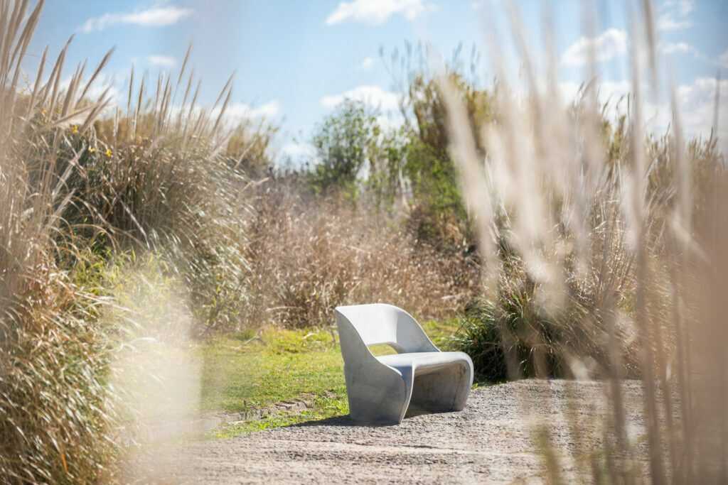 bajacostanera-ciudad-universitaria15-1024x683_optimized