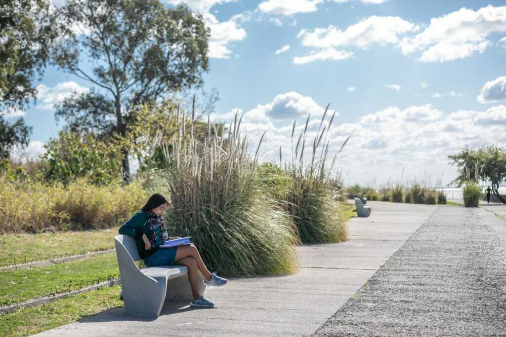 bajacostanera-ciudad-universitaria21-1024x683_optimized